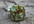 make a silver square Turquoise ring