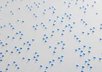 translate a 500 word document into braille
