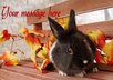 give you a nice picture of a cute bunny with your name or message and you will recive an ebook for FREE