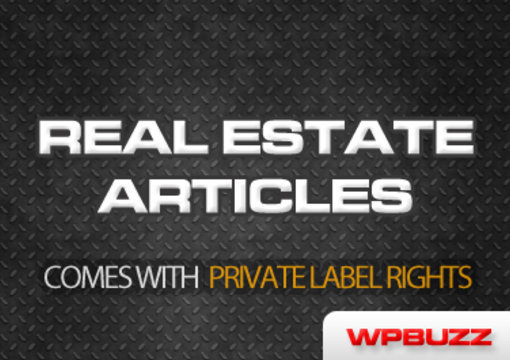 send you 1700 Real Estate articles with private label rights included big1