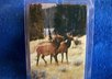 mail you 2 Elk luggage tags