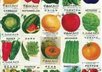 send you 20 heirloom seeds for your garden