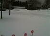 take a picture of anywhere in Newport, RI and send it to your cell phone small1