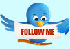 teach you how to get targeted Twitter followers, fast and easy