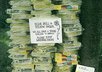 give you a list of 50 local business directories