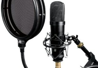record your 250 word article in a radio dj voice big1