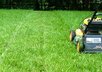 mow your name in my grass