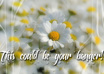 create a professional banner, wallpaper, logo or anything similar in Photoshop