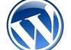 answer any wordpress questions for you