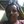 kauthon
