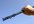 find FIVE Available Website Domain Names From The Keywords You Supply
