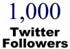 give you 1000 Real Human twitter followers