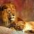 smilodon
