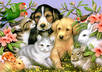 perform a REAL psychic reading for your pet
