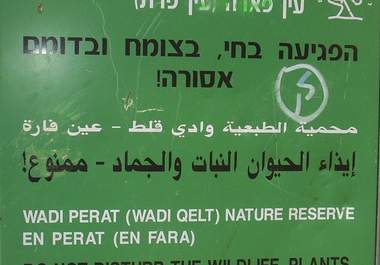 translate Hebrew to English 300 words big1