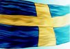translate 500 words from English to Swedish small1