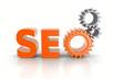provide a detailed SEO report with my professional software small1