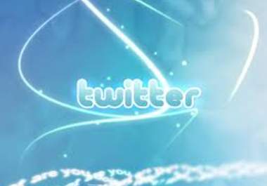 give you 1000 real twitter followers big1