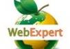 fix your design related issues in your existing website