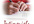 write 4 testimonials for any product or website