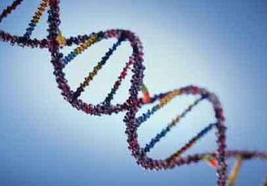 tell you how to extract your dna big1