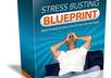 send you the ebook plus full PLR private label rights to Stress Busting Blueprint