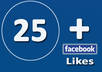 get you 25 + likes for your Facebook Fan Page small1