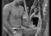 give you a truthful summary of your looks or answer any questions about your relationship small1