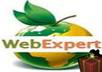 make your site more reliable to your customer just by adding new functionality to your website to get him connect with