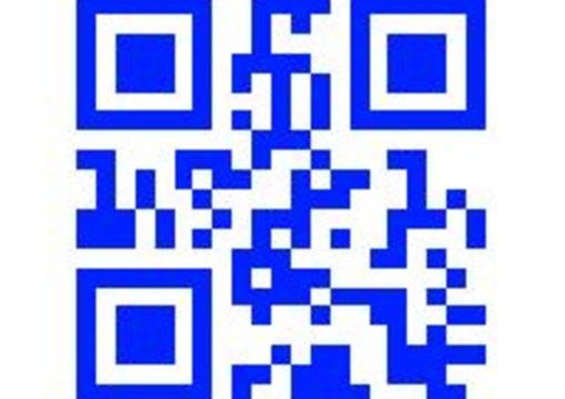 create a custom QR code to direct to your url,text,or other information big1