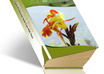 do photoshop work for you small1