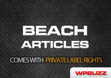 give you 870 Beach articles with private label rights included big1