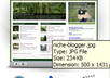 provide Save the Trees PLR Blog WordPress Niche Blog Fully Monetized with Clickbank, Amazon, Adsense Producing Profits on Auto Pilot