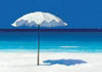 send you 465 camping, outdoor PLR articles that you can use in your website