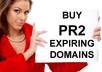 tell You How To Get PR2 Expiring Domains And Buy Them Without Auction