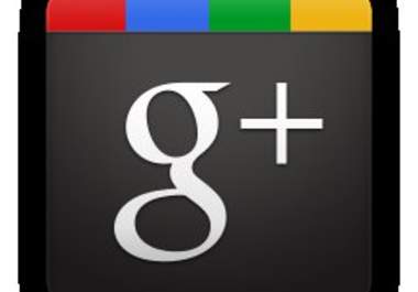 provide 30 google plus 1 to your website, blog, page big1