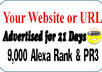 put your link on my 9,000 Alexa and PR3 homepage for 21 days small1