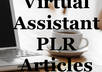 provide 5 Quality Virtual Assistance PLR Articles