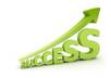 give 800 real views from real IPs to your youtube video small1