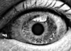 write a guest blog post or review, and publish it on my nice PHOTOGRAPHY blog with a backlink to your photography related website