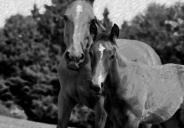 convert 3 of your photos into charcoal sketched images big1