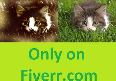 make your picture look really old and cool big1
