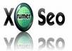 create a Linkwheel with 500 Backlinks pointing to your site and to the created Profiles using Xrumer