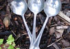stamp a vintage spoon with whatever WORD you want
