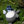 totoro131_2