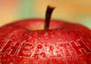 send you 300+ Health and Diseases PLR articles