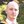 success_rocket
