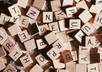 search all relevant information regarding your niche