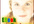give you a VIP account for downloading 10GB mrr eBooks, plr articles, website script and templates