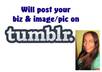 post a pic of your business, product with link on tumblr